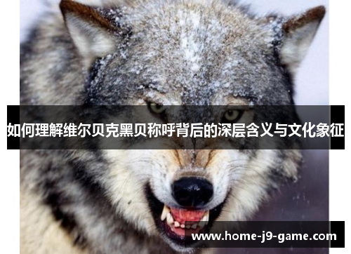 如何理解维尔贝克黑贝称呼背后的深层含义与文化象征 如何理解维尔贝克黑贝称呼背后的深层含义与文化象征