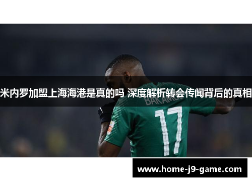 米内罗加盟上海海港是真的吗 深度解析转会传闻背后的真相
