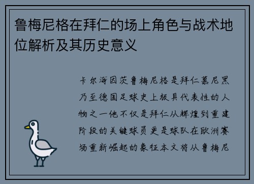 鲁梅尼格在拜仁的场上角色与战术地位解析及其历史意义